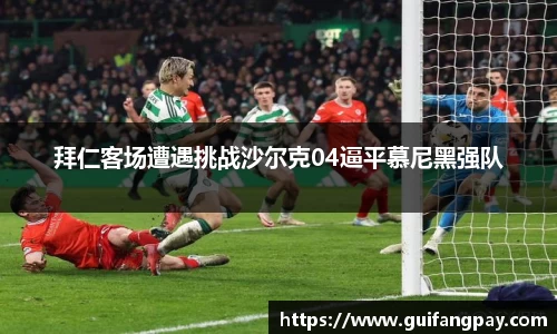 拜仁客场遭遇挑战沙尔克04逼平慕尼黑强队