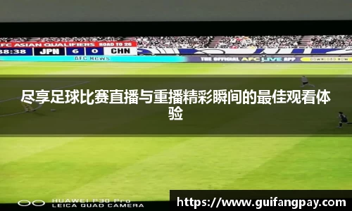 威九国际