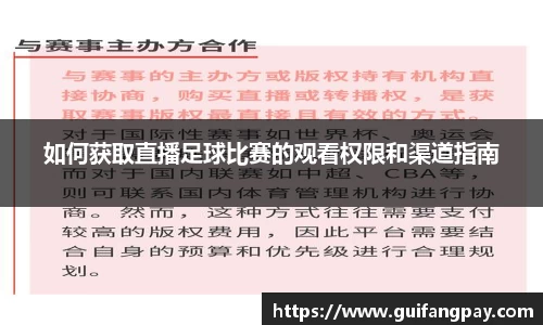威九国际