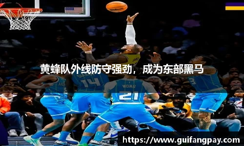 黄蜂队外线防守强劲，成为东部黑马